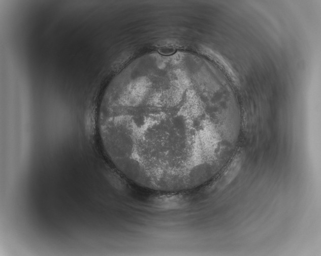 X0000103130065200809051618