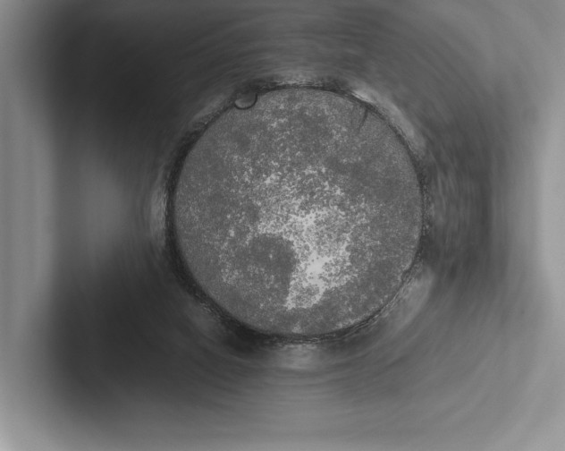 X0000103130066200809051618
