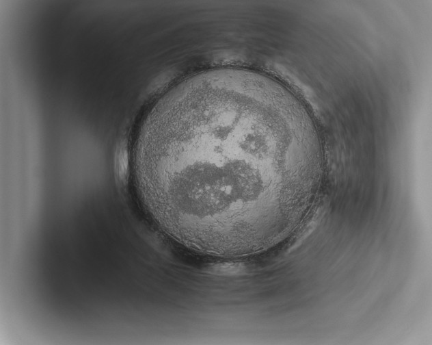 X0000103130067200809051618