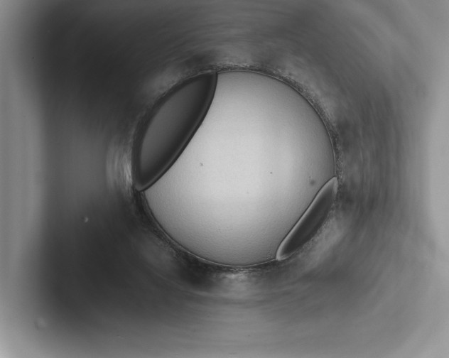 X0000103130068200809051618