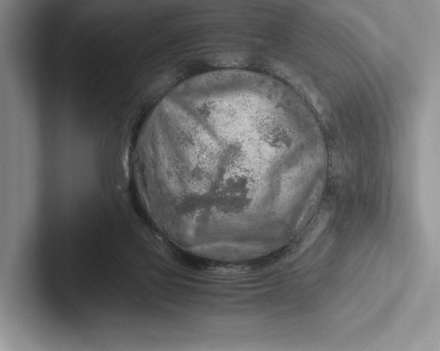 X0000103130069200809051618