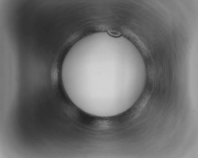 X0000103130071200809051618