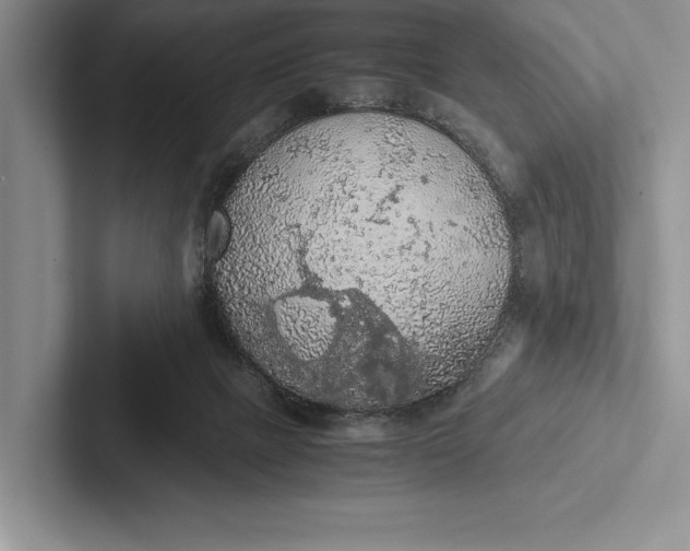 X0000103130073200809051618