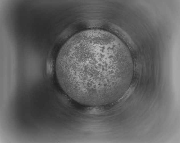 X0000103130074200809051618