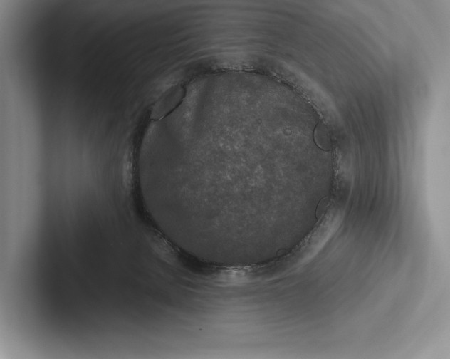 X0000103130080200809051618