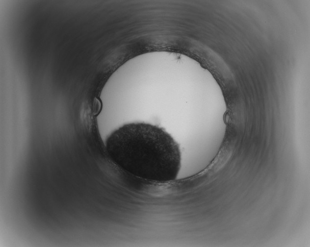 X0000103130086200809051619