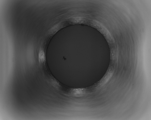X0000103130089200809051619