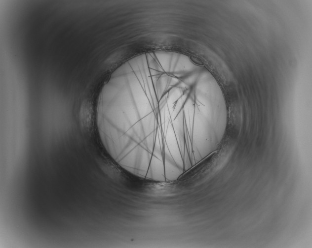 X0000103130092200809051619