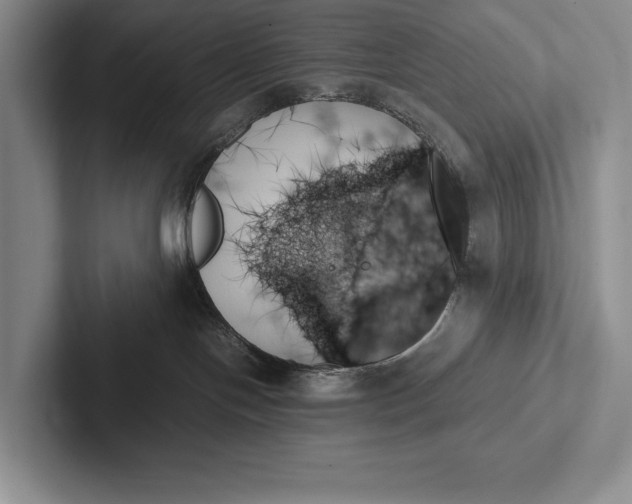 X0000103130094200809051619