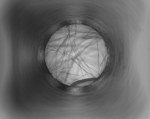 X0000103130096200809051619