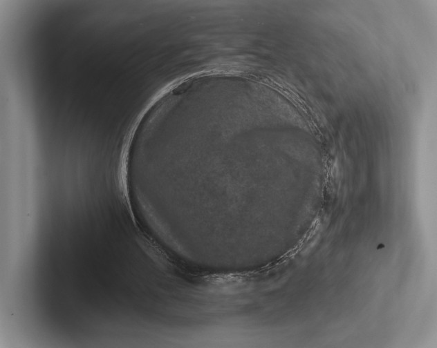 X0000103130100200809051618