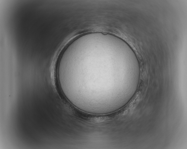 X0000103130103200809051618