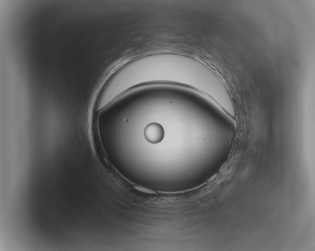 X0000103130104200809051618