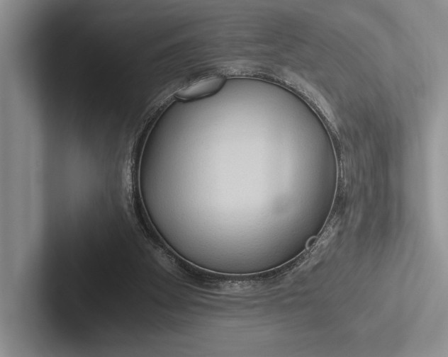 X0000103130105200809051618