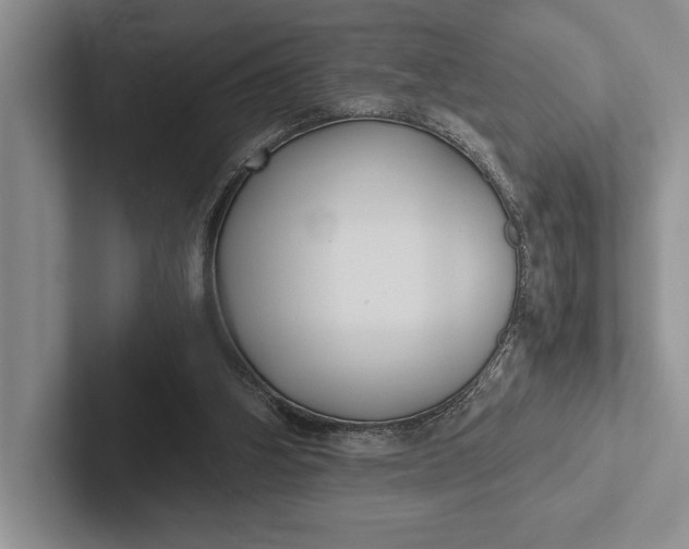 X0000103130106200809051618