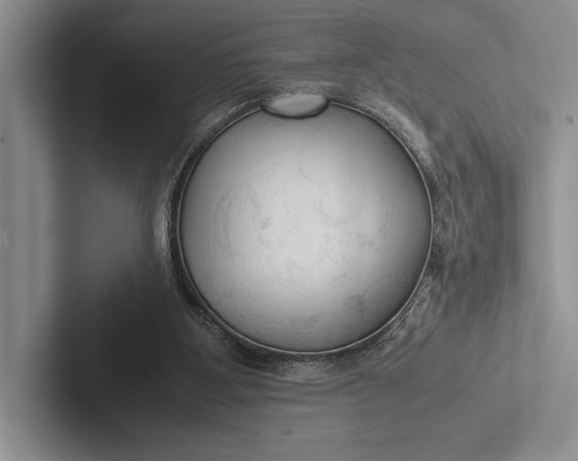 X0000103130107200809051618