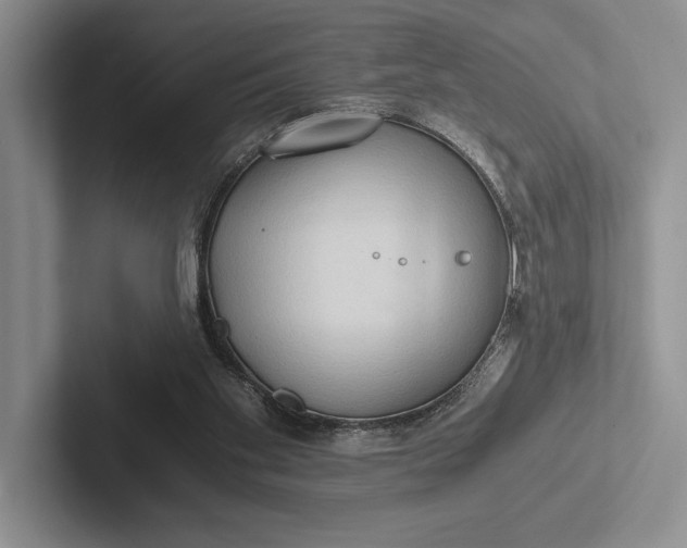 X0000103130109200809051618