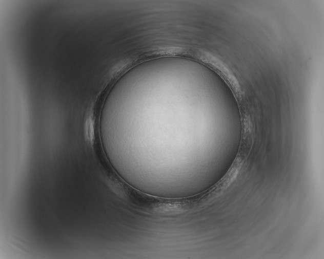 X0000103130110200809051618
