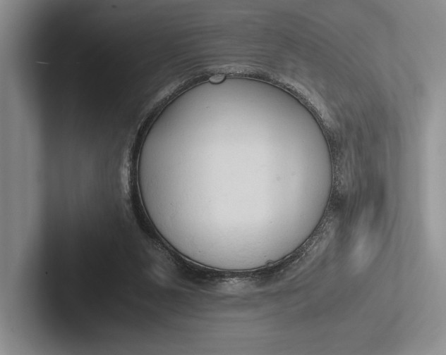 X0000103130111200809051618