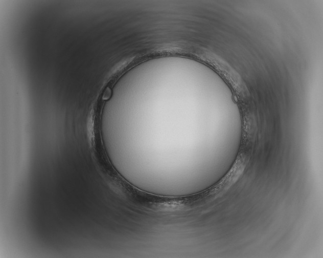 X0000103130112200809051618