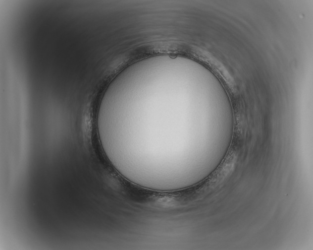 X0000103130113200809051618