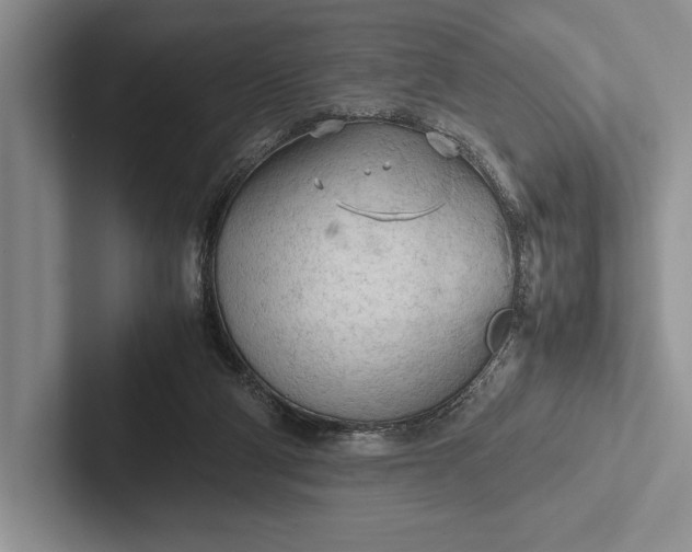 X0000103130114200809051618