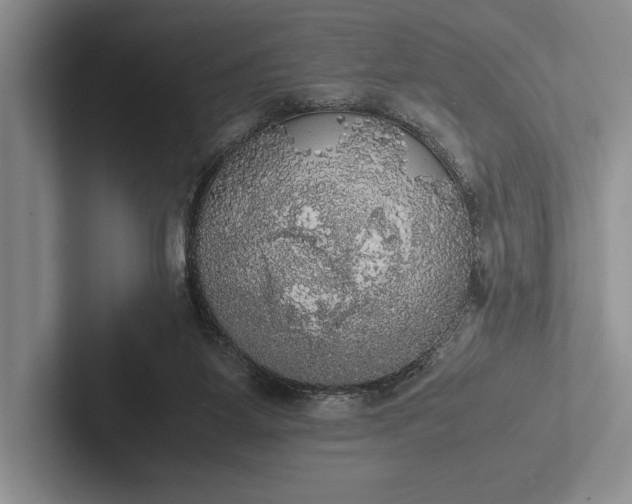 X0000103130115200809051618