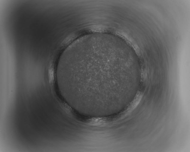 X0000103130117200809051618