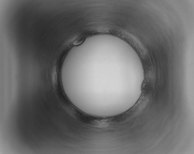 X0000103130120200809051618