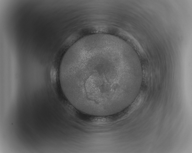 X0000103130123200809051618