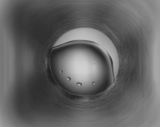 X0000103130124200809051618