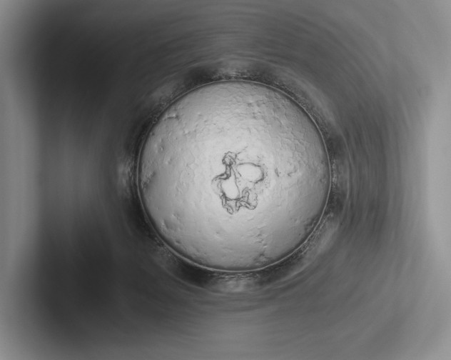 X0000103130127200809051618