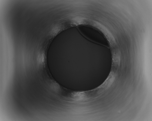 X0000103130132200809051618