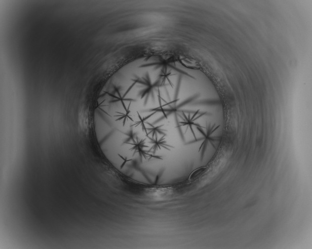 X0000103130135200809051617