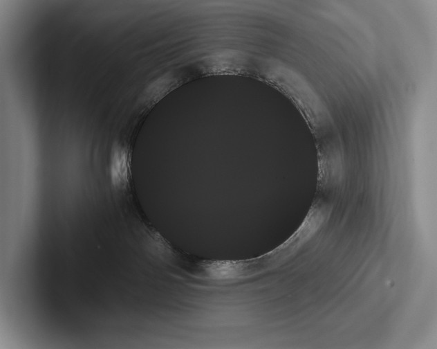 X0000103130142200809051617