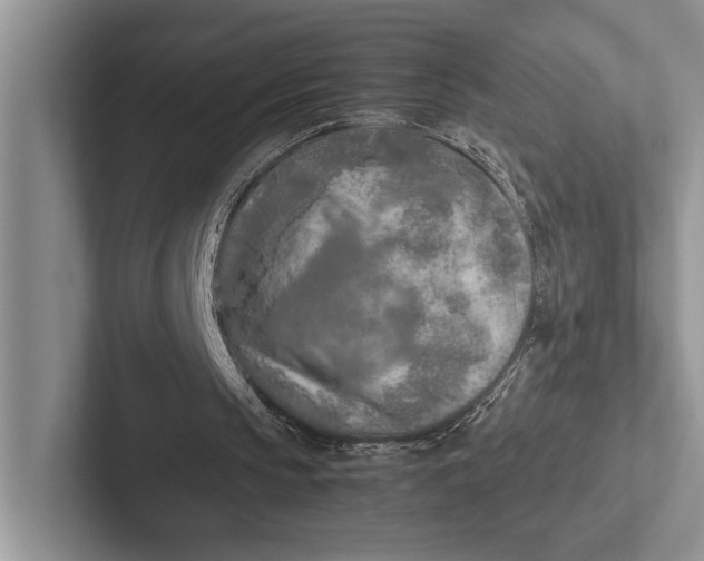 X0000103130145200809051617