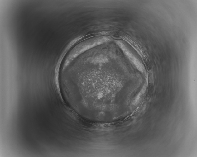 X0000103130147200809051617