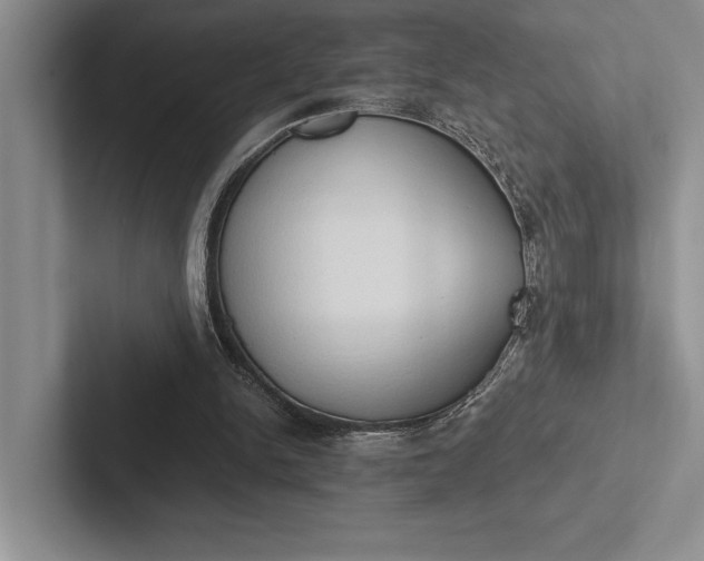 X0000103130150200809051617