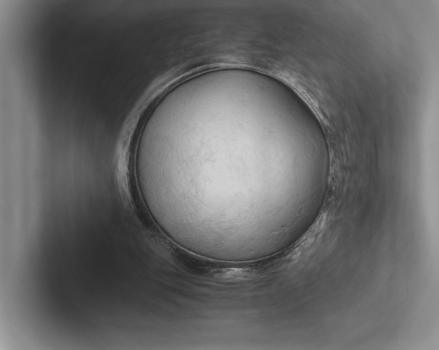 X0000103130151200809051617