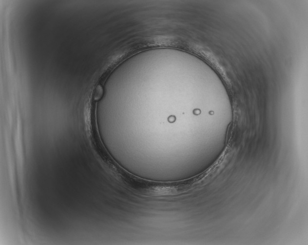 X0000103130154200809051617