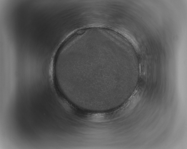 X0000103130156200809051617
