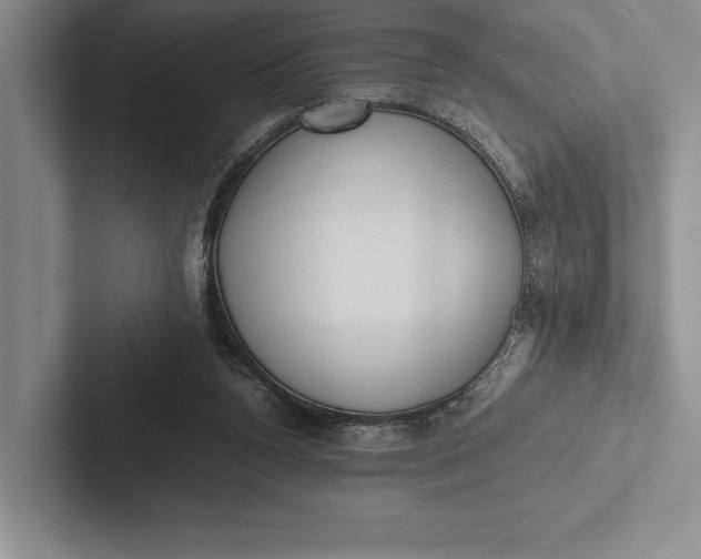 X0000103130160200809051617