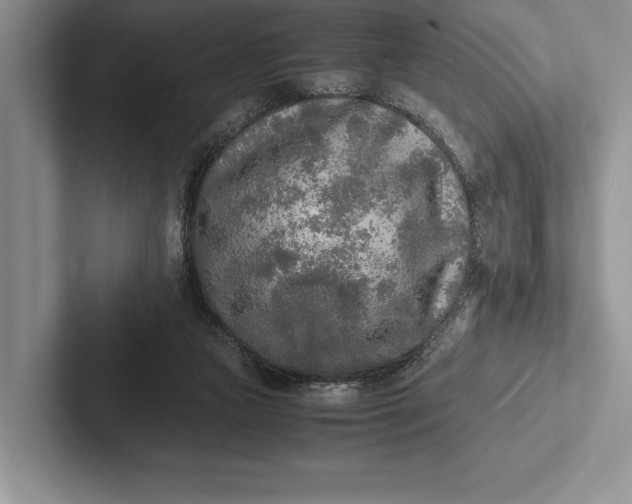 X0000103130161200809051617