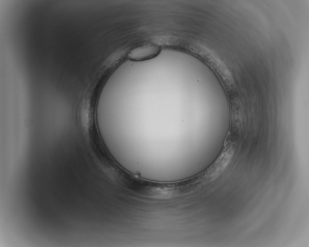 X0000103130164200809051617