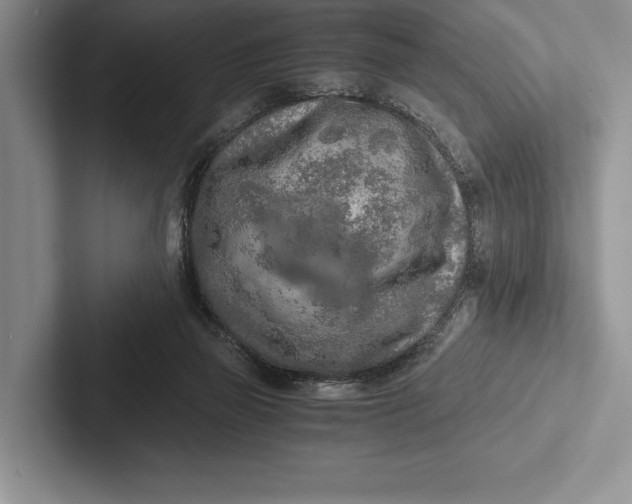 X0000103130165200809051617