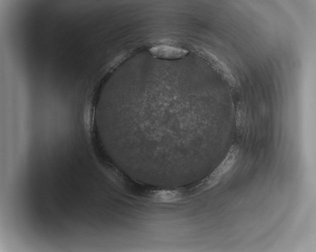 X0000103130168200809051617