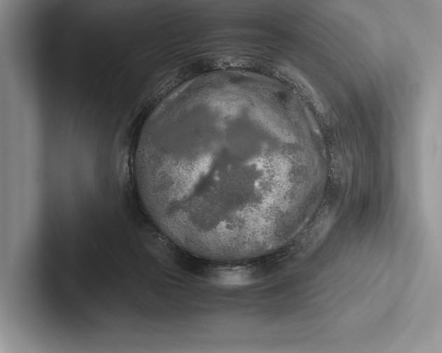 X0000103130169200809051617
