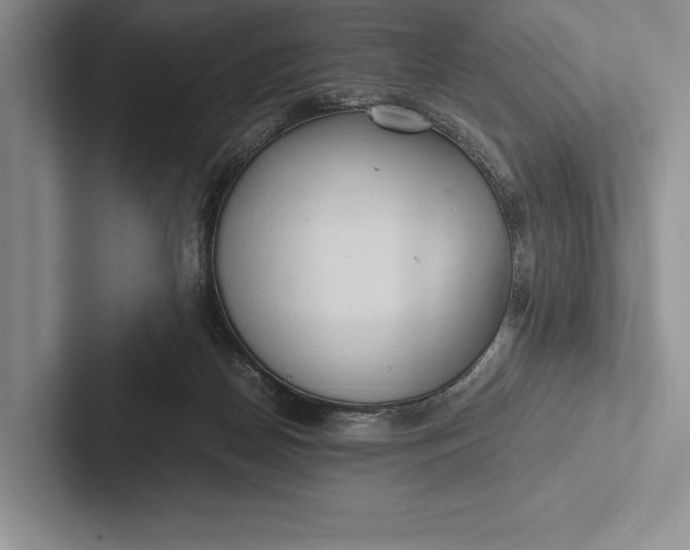 X0000103130170200809051617