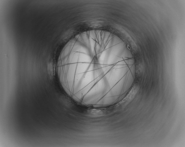 X0000103130180200809051617