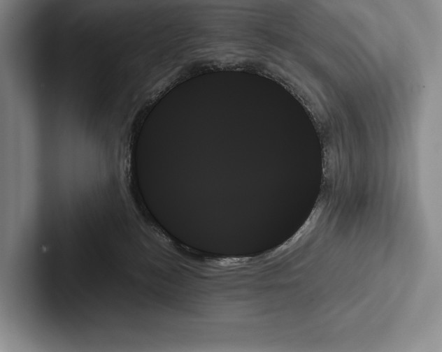 X0000103130184200809051617